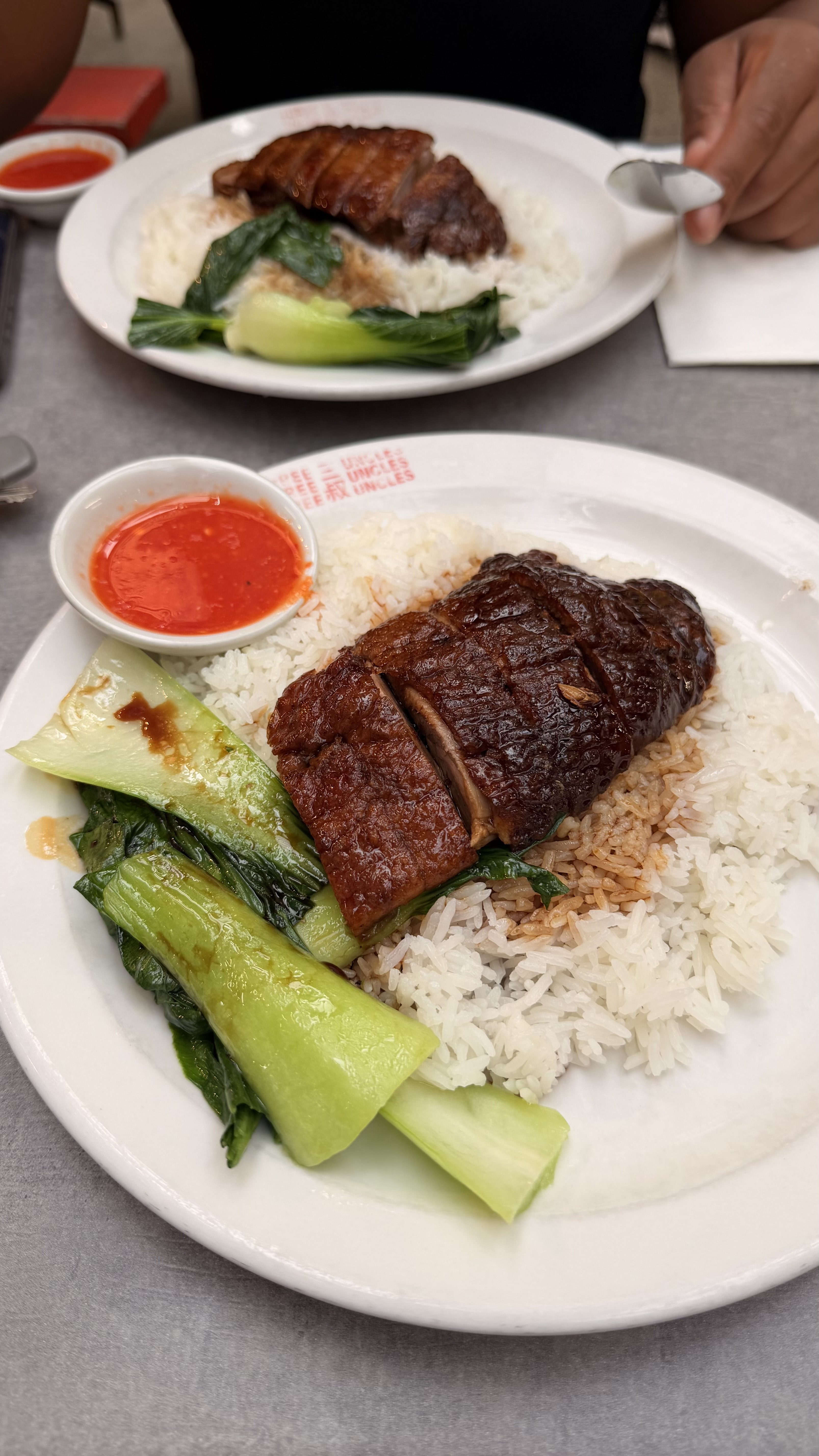 Roasted duck on rice